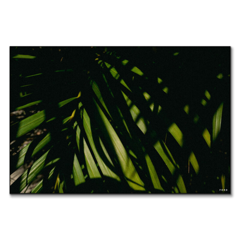 God's Plan Green Wall Art by Nick Ford