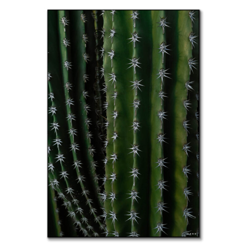 Can't Touch This Dark Wall Art by Nick Ford