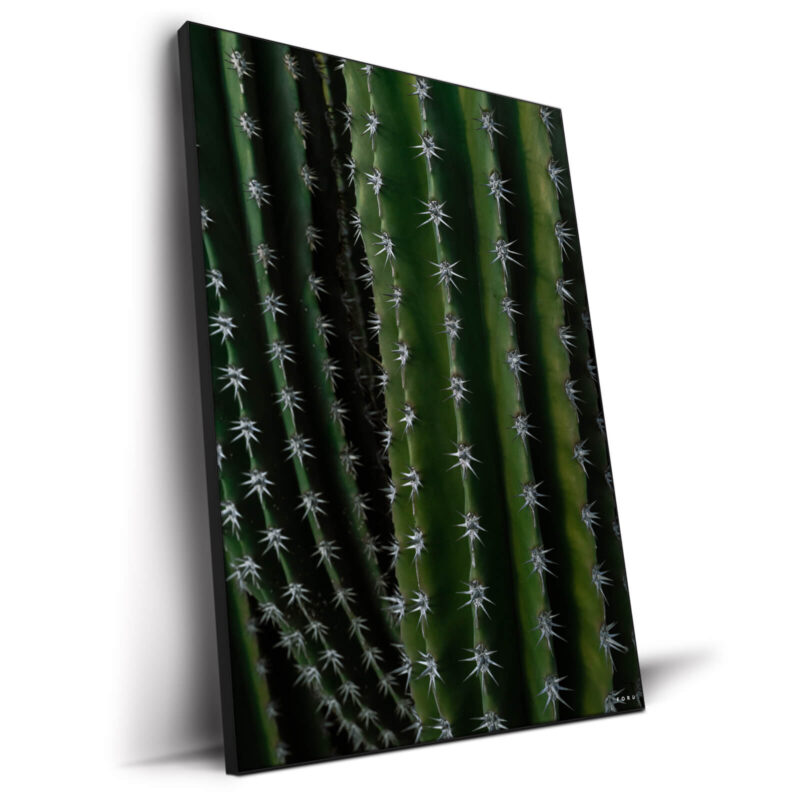 Can't Touch This Dark Wall Decor by Nick Ford