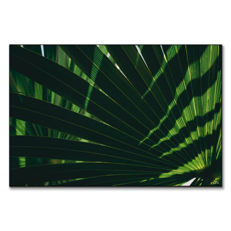Lazy Day Green Wall Art by Nick Ford
