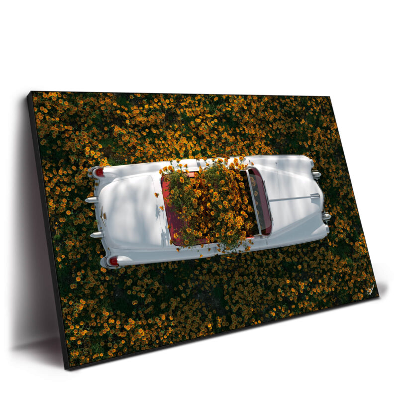 Yellow Flowers Warm Wall Decor by Konji