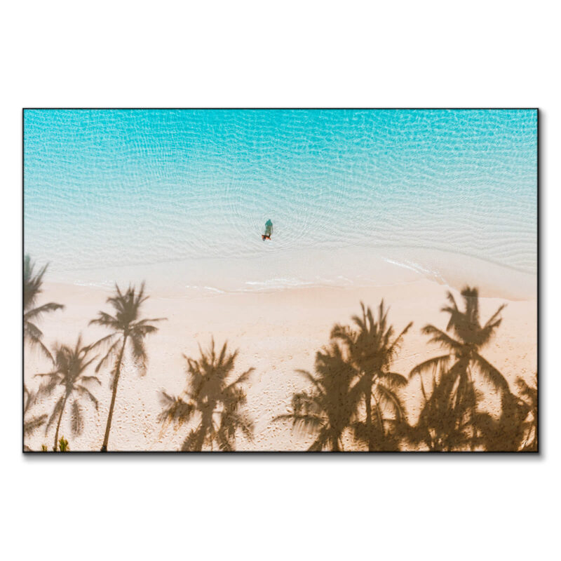 Palmy Days Cool Wall Art by Jess Loiterton