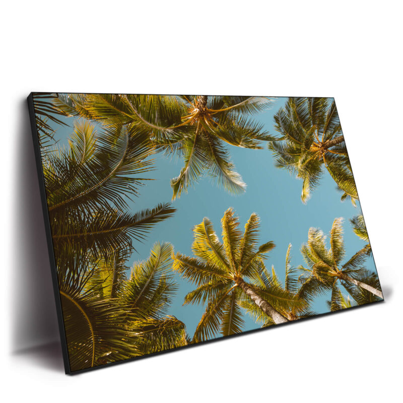 Palm Party Cool Wall Decor by Jess Loiterton