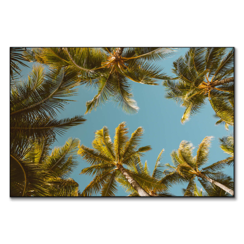 Palm Party Cool Wall Art by Jess Loiterton