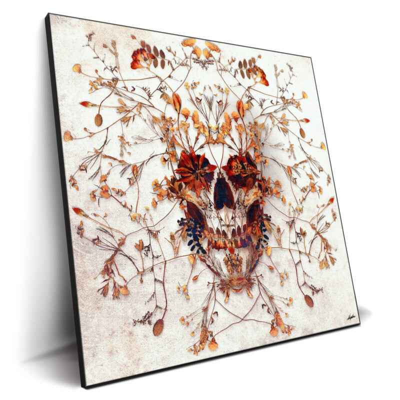 Autumn Skull Warm Wall Decor by Ali Gulec