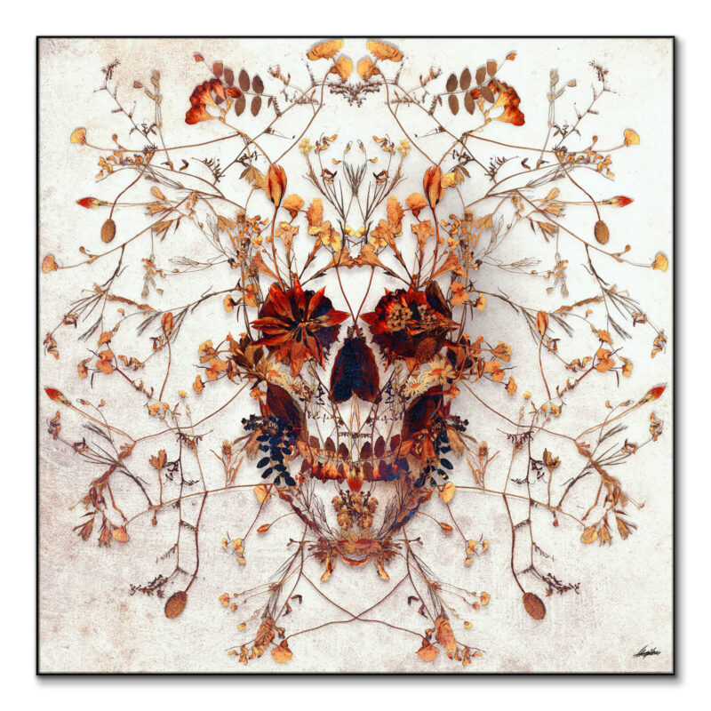 Autumn Skull Warm Wall Art by Ali Gulec