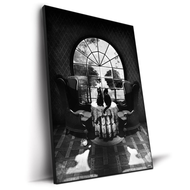 Victorian Room Skull Black and White Wall Decor by Ali Gulec