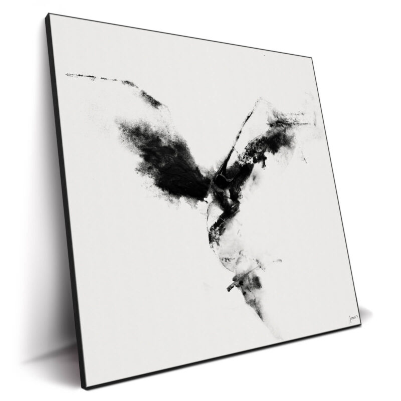 Leap Black and White Wall Decor by Artur Chen