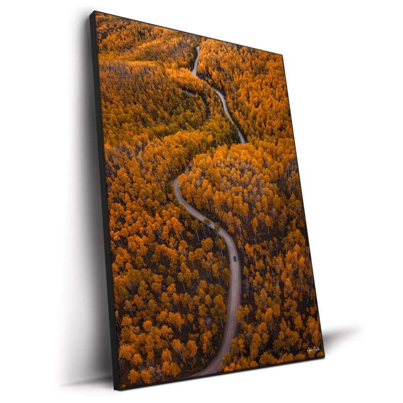 Autumn Drives Warm Wall Decor by Ryan Ditch