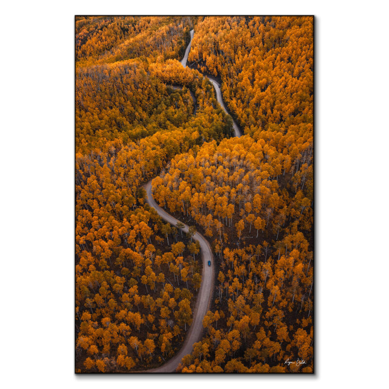 Autumn Drives Warm Wall Art by Ryan Ditch