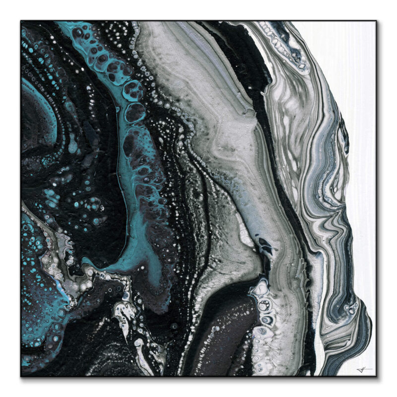 Teal Paisley Black and White Wall Art by Jared Hankins