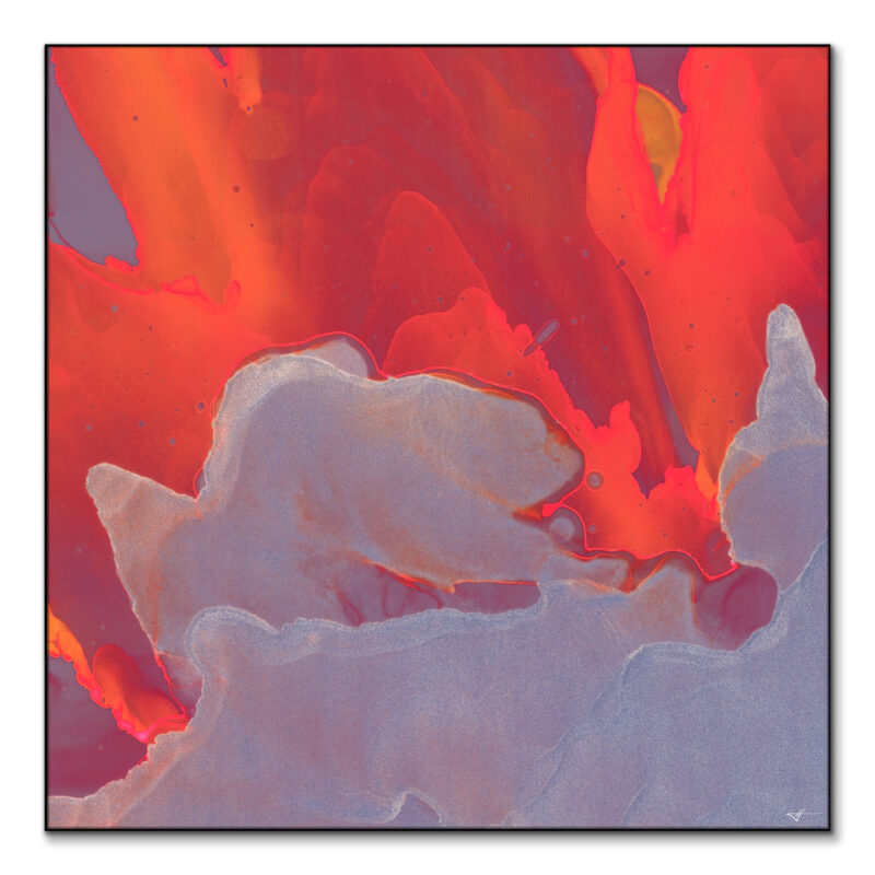 Red Burst Warm Wall Art by Jared Hankins