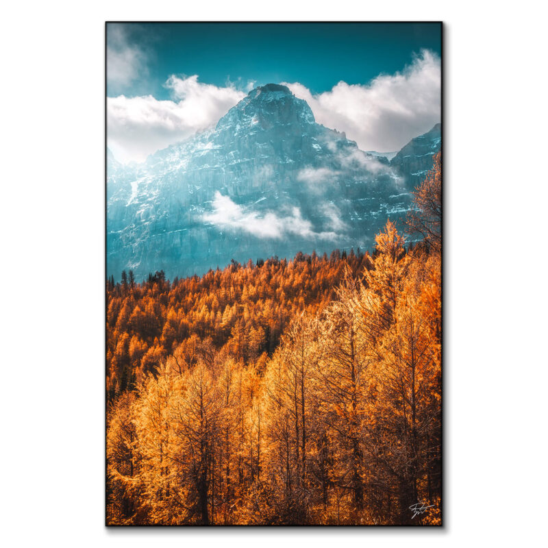 The Golden Forest Vibrant Wall Art by Zach Doehler