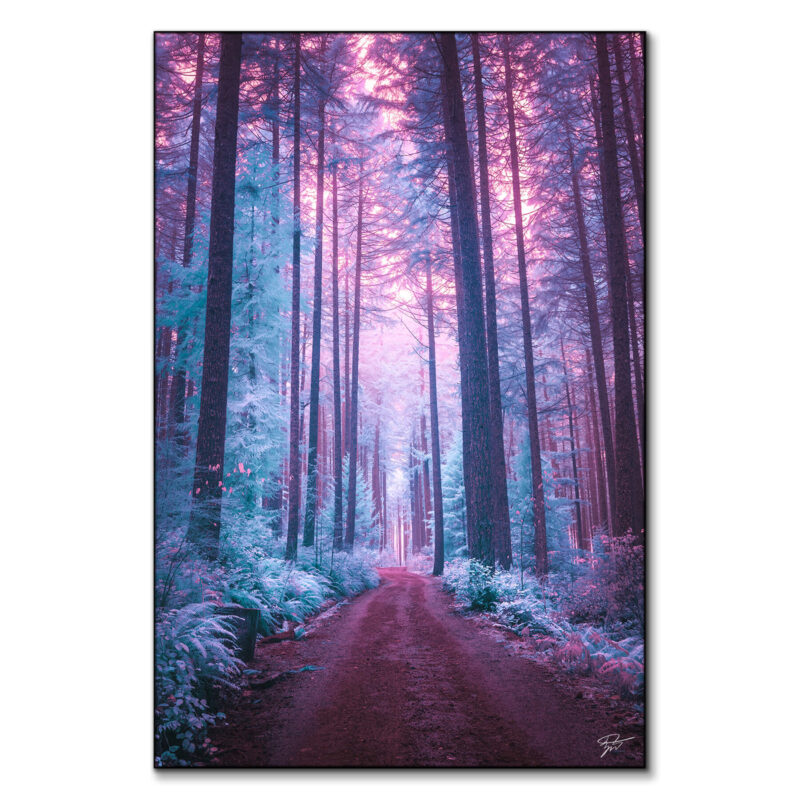 The Forest of Ice Cool Wall Art by Zach Doehler