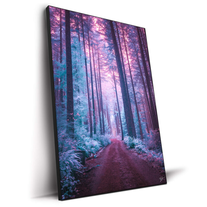 The Forest of Ice Cool Wall Decor by Zach Doehler