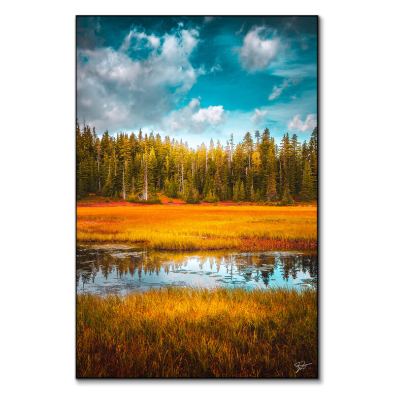 Colorful Simplicity Vibrant Wall Art by Zach Doehler