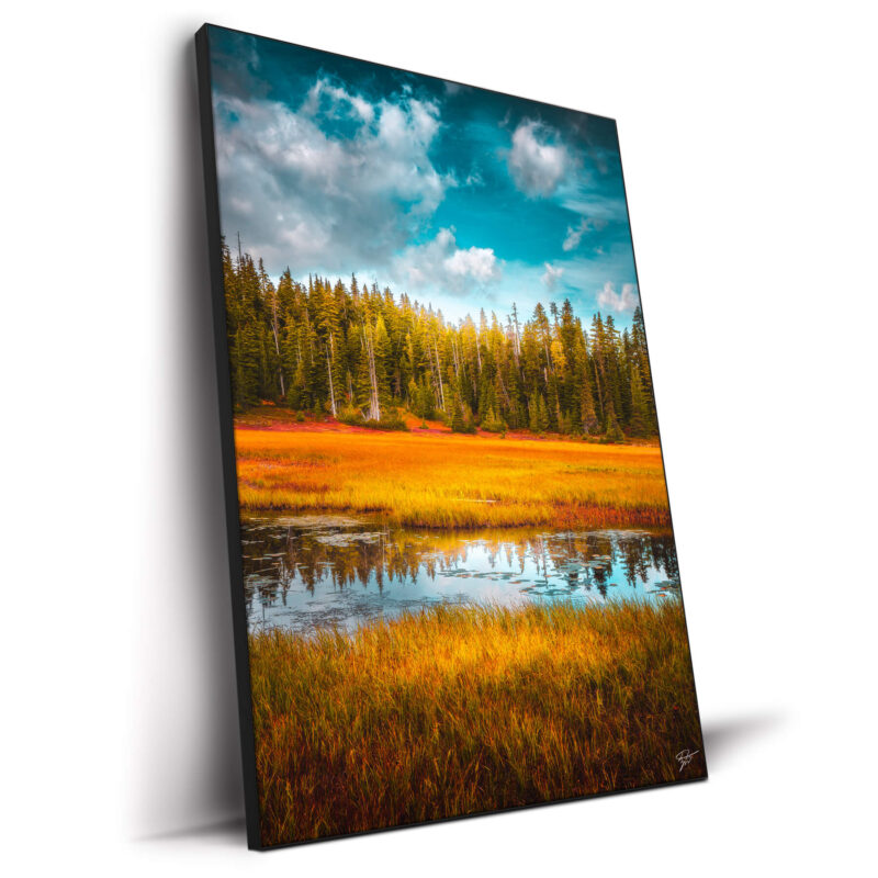 Colorful Simplicity Vibrant Wall Decor by Zach Doehler