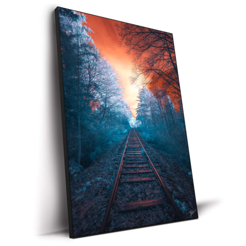 Off the Rails Vibrant Wall Decor by Zach Doehler