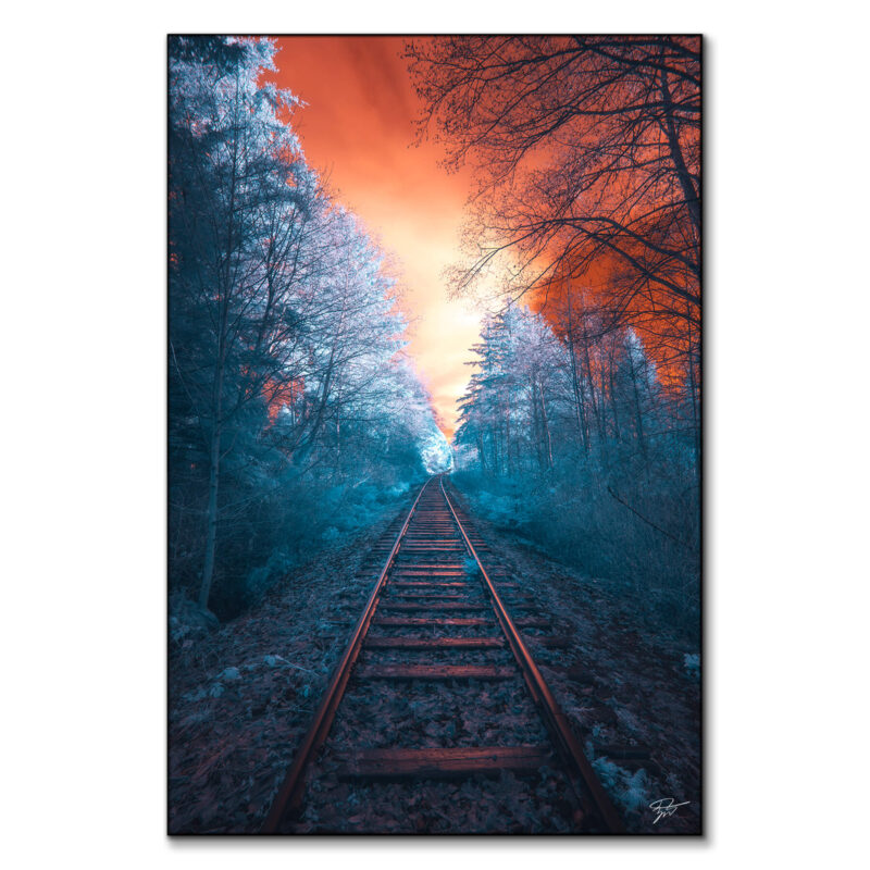 Off the Rails Vibrant Wall Art by Zach Doehler