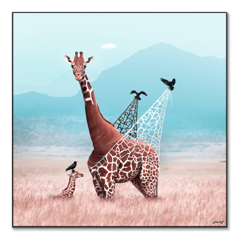 Haute Couture Cool Wall Art by Julien Tabet