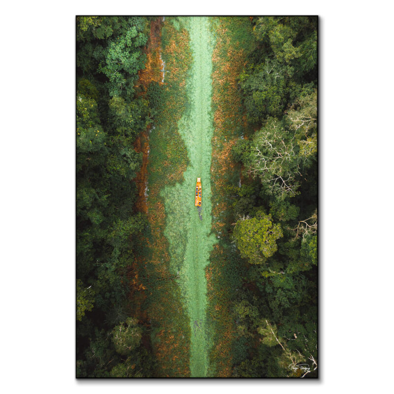 Green River Green Wall Art by Paige Tingey