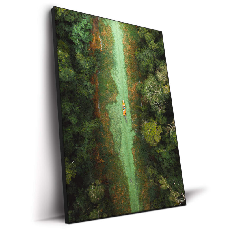 Green River Green Wall Decor by Paige Tingey