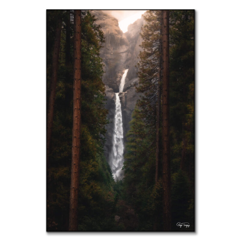 Falling Between the Trees Dark Wall Art by Paige Tingey