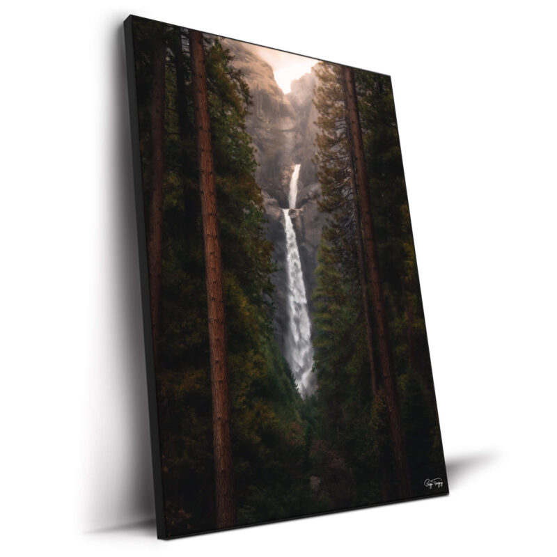 Falling Between the Trees Dark Wall Decor by Paige Tingey
