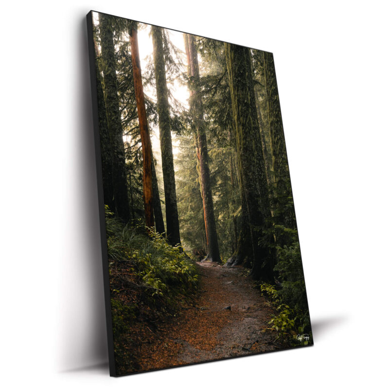 Morning Stroll Green Wall Decor by Paige Tingey