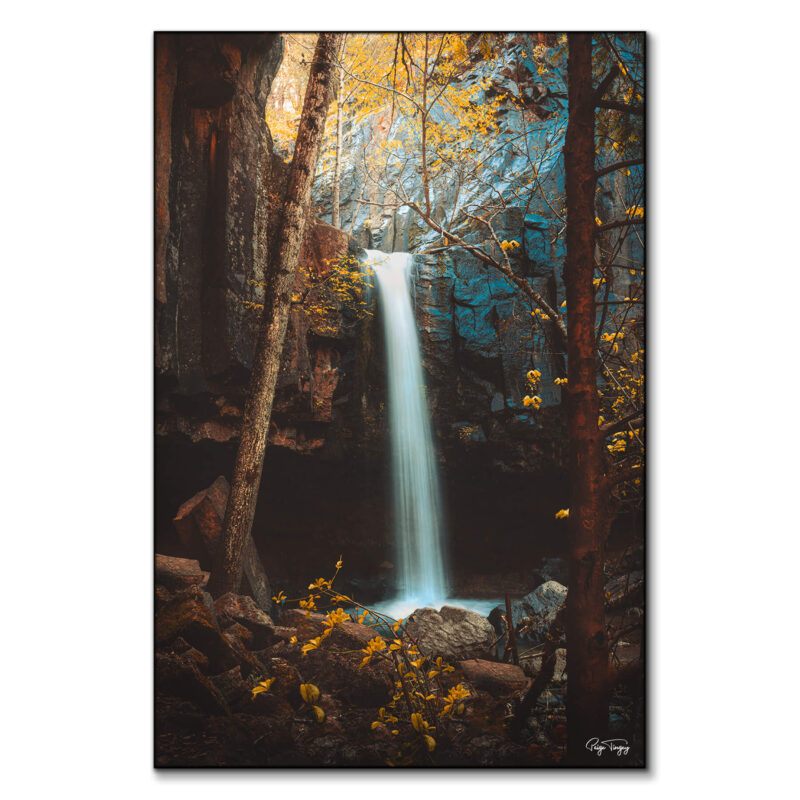 Autumn Fall Brown Wall Art by Paige Tingey