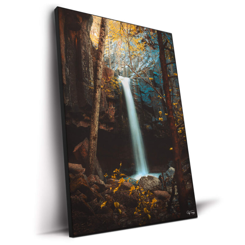 Autumn Fall Brown Wall Decor by Paige Tingey