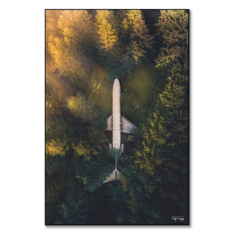 Plane Green Wall Art by Paige Tingey
