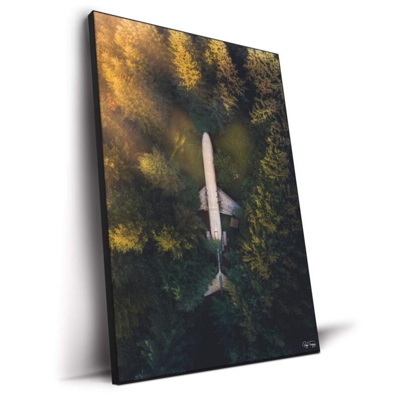 Plane Green Wall Decor by Paige Tingey