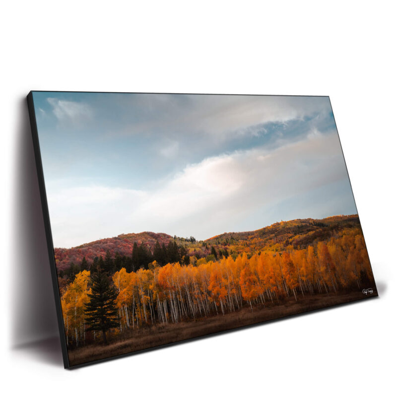 Autumn Hills Warm Wall Decor by Paige Tingey