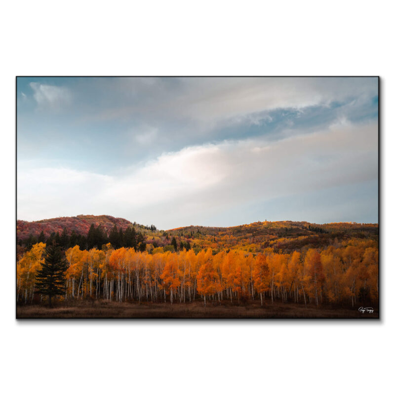 Autumn Hills Warm Wall Art by Paige Tingey