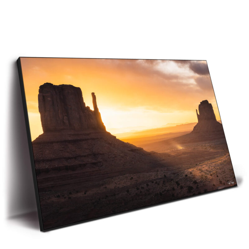 Monumental Warm Wall Decor by Paige Tingey