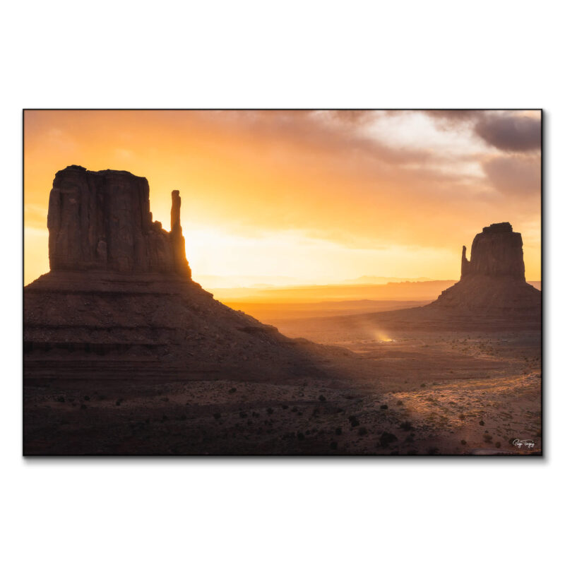 Monumental Warm Wall Art by Paige Tingey