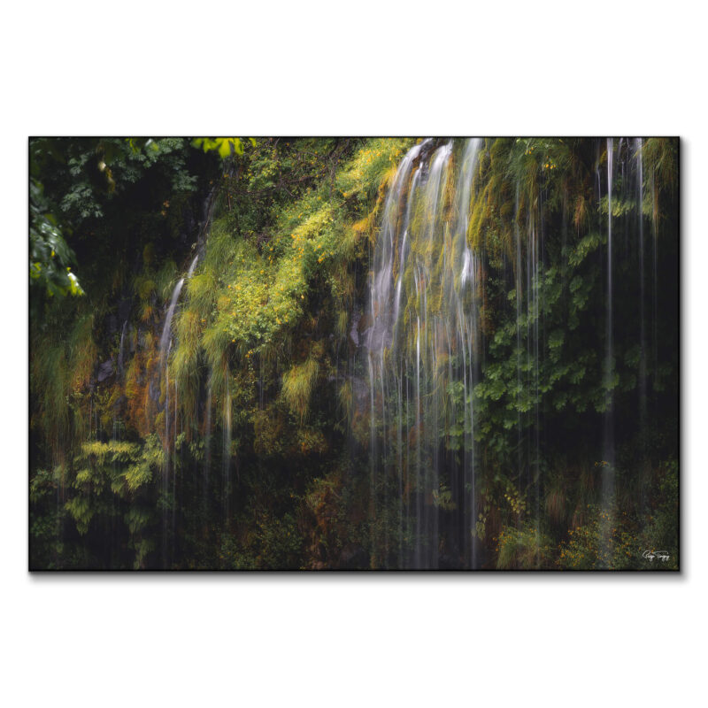 The Little Things Green Wall Art by Paige Tingey