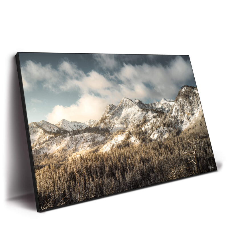Snowy Peaks Cool Wall Decor by Paige Tingey