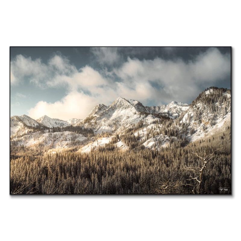 Snowy Peaks Cool Wall Art by Paige Tingey