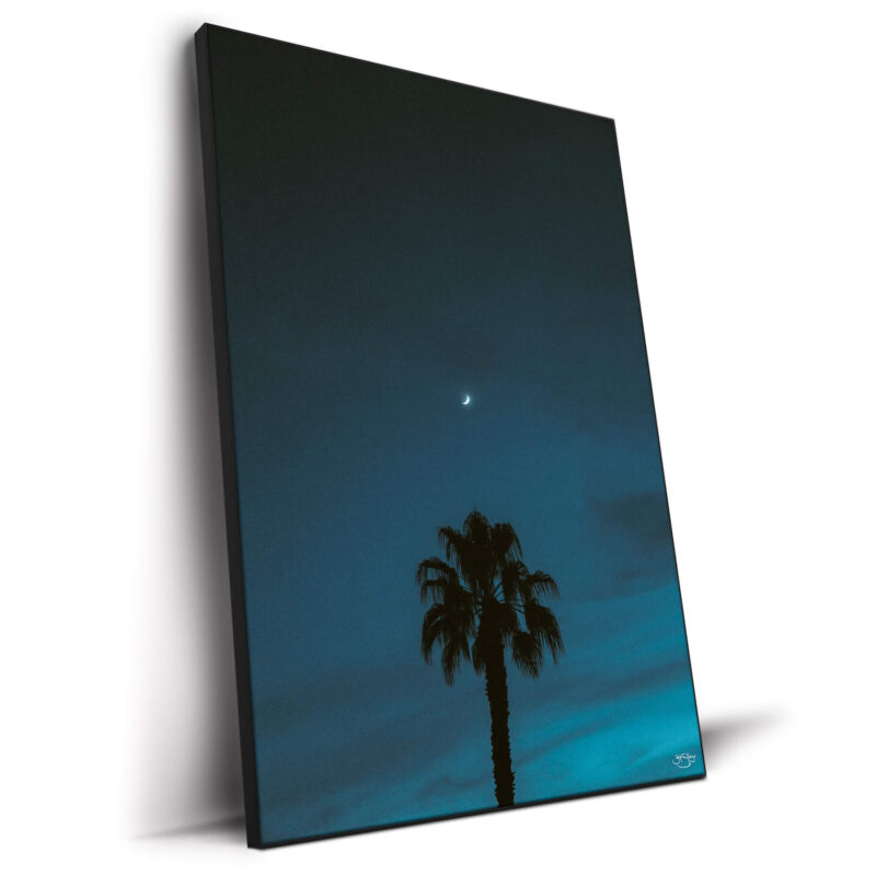 Midnight Moon Dark Wall Decor by Zachary Snellenberger