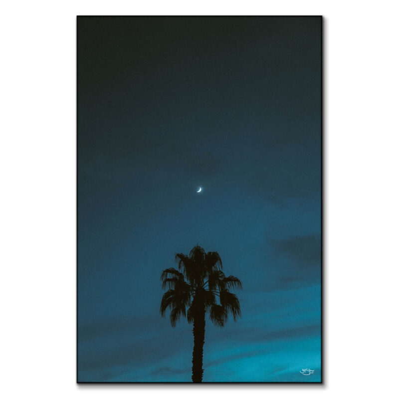 Midnight Moon Dark Wall Art by Zachary Snellenberger