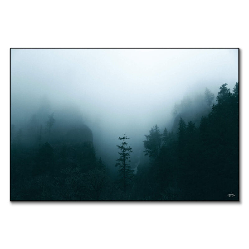 Winter Forest Fog Dark Wall Art by Zachary Snellenberger