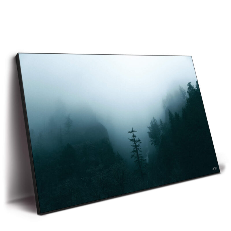 Winter Forest Fog Dark Wall Decor by Zachary Snellenberger