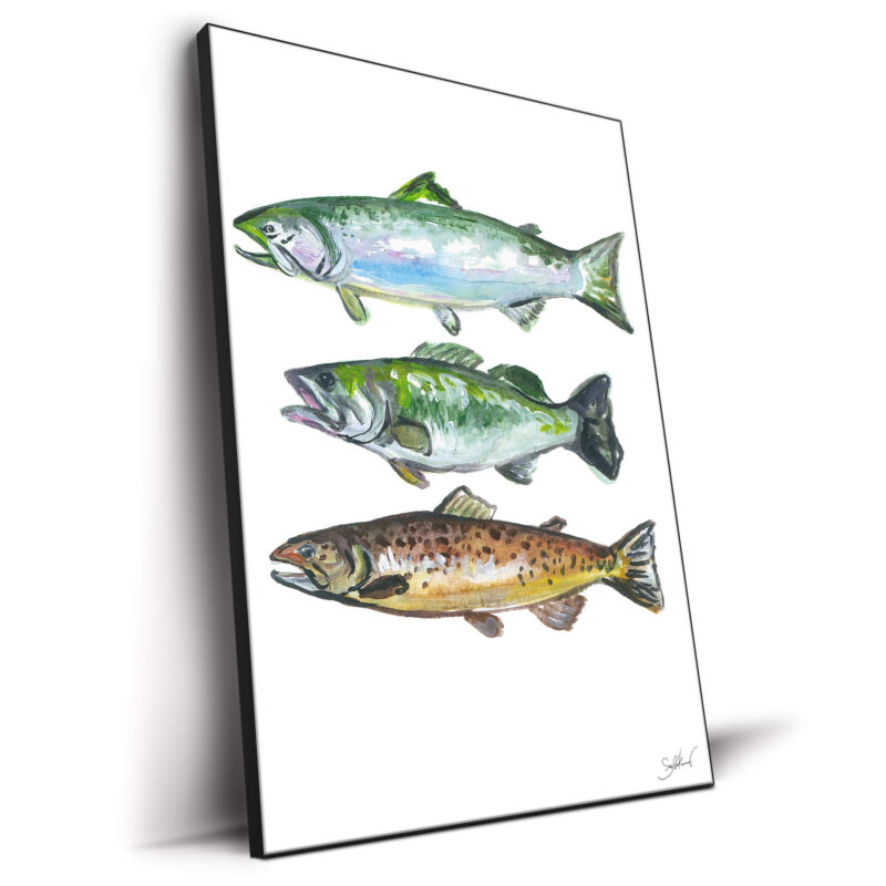 Three Fish Colorful Wall Decor by Shelby Kregel
