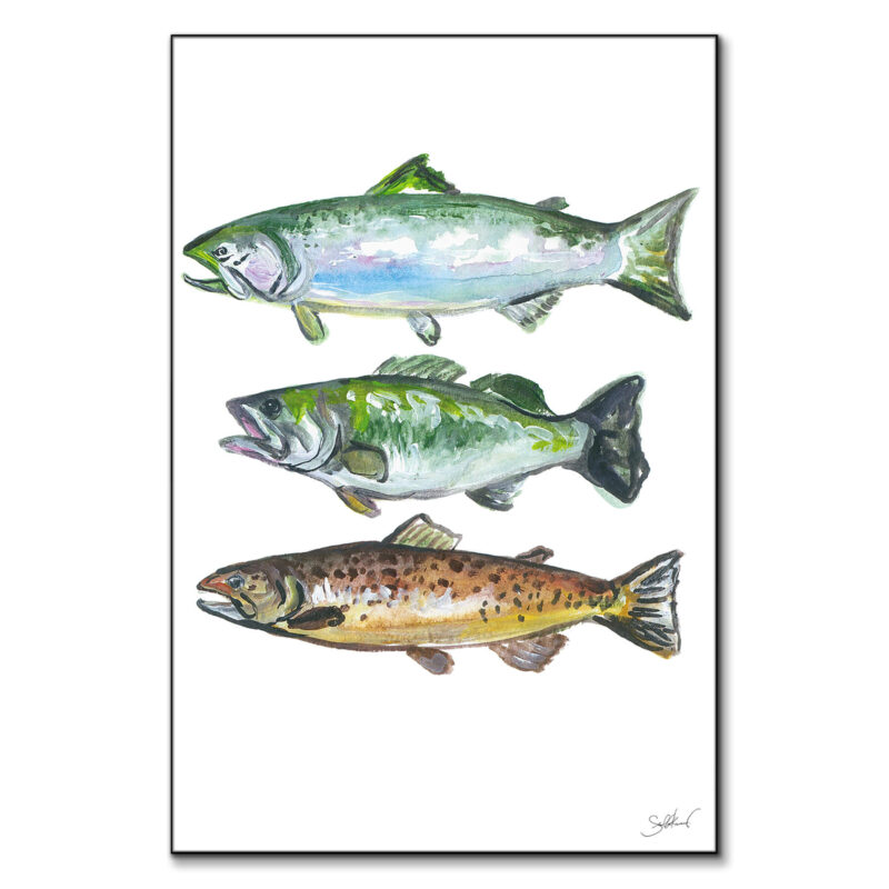 Three Fish Colorful Wall Art by Shelby Kregel