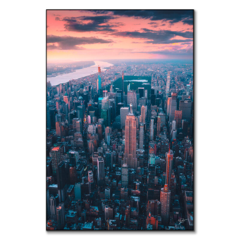 The Urban Jungle Wall Art by Zach Doehler