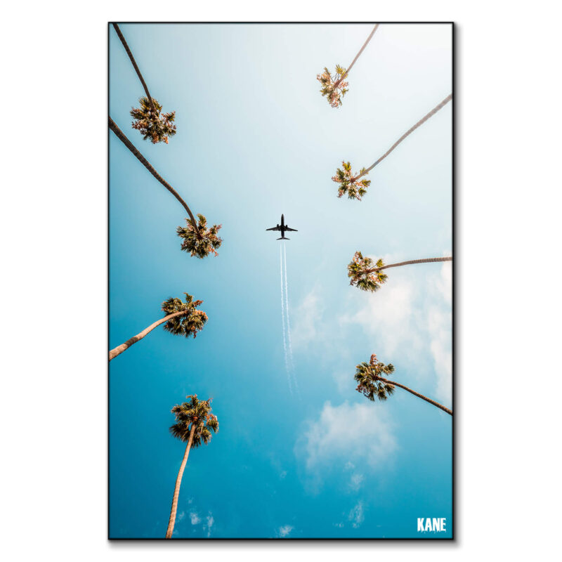 Palm Trees Cool Wall Art by Kane C. Andrade