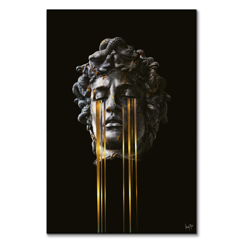 MDS Dark Wall Art by Frank Moth