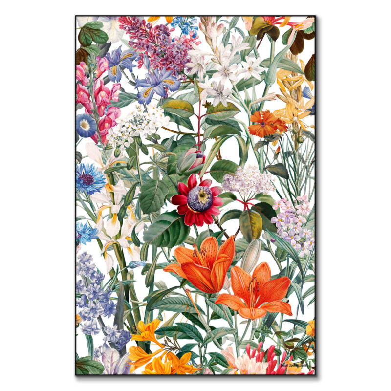 Vintage Garden IX Colorful Wall Art by Burcu Korkmazyurek
